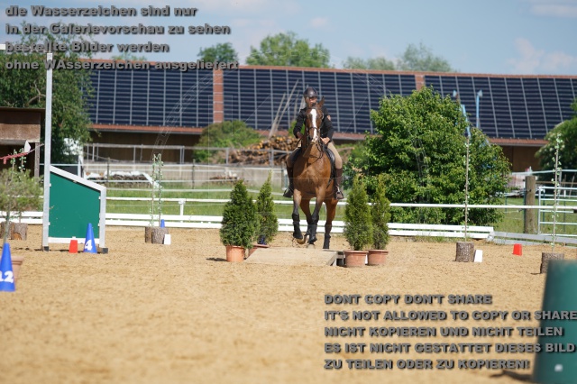 s_K3F06975.JPG